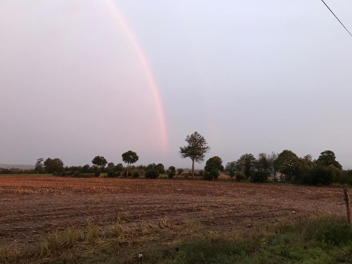 Le Jardin Des Fees Bed and Breakfast Savigny-le-Vieux Εξωτερικό φωτογραφία